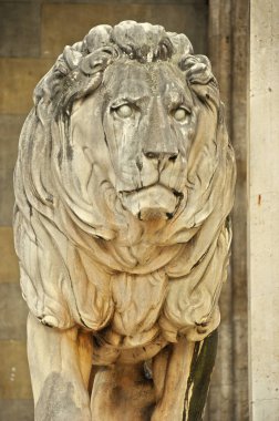 Münih, Almanya 'da Feldherrnhalle (Mareşal Salonu) önündeki aslan heykeli