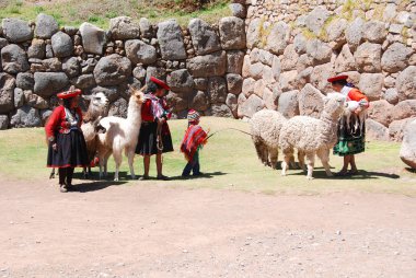 SACSAYHUAMAN, CUSCO, PERU - 23 Kasım 2010 'da Sacsayhuaman, cusco, Peru' da geleneksel elbiseli Perulu bir kadın küçük bir Alpaka ile ayakta duruyor..