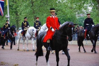 İngiltere - 2 Haziran 2012 'de Londra' da Buckingham Sarayı 'nda ve AVM' de düzenlenen Renk Töreni sırasında Kraliçe 'nin muhafızları.