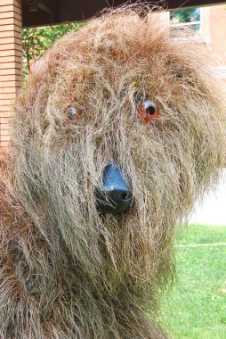 Çiftlikteki samandan köpek heykeli 