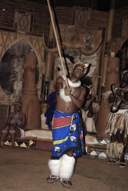 Tanımlanamayan Zulu dansçıları, 27 Kasım 2010 'da Shakaland Zulu Kültür Köyü, KwaZulu-Natal, Güney Afrika' da yapılan Zulu gösterisinde geleneksel Zulu kıyafetleri giyerler.