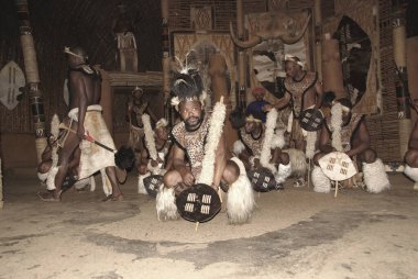 Tanımlanamayan Zulu dansçıları, 27 Kasım 2010 'da Shakaland Zulu Kültür Köyü, KwaZulu-Natal, Güney Afrika' da yapılan Zulu gösterisinde geleneksel Zulu kıyafetleri giyerler.