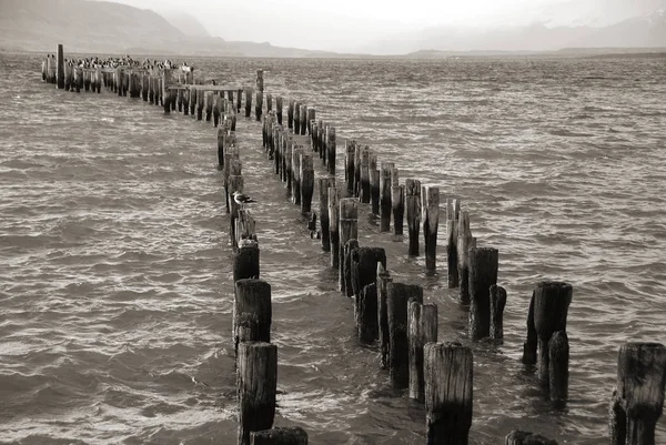 Puerto Natales Місто Чилійській Патагонії Puerto Natales Столиця Комуни Наталс — стокове фото