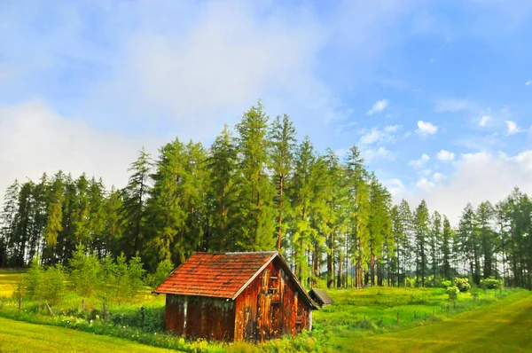 Casa Din Lemn Pădure — Fotografie, imagine de stoc