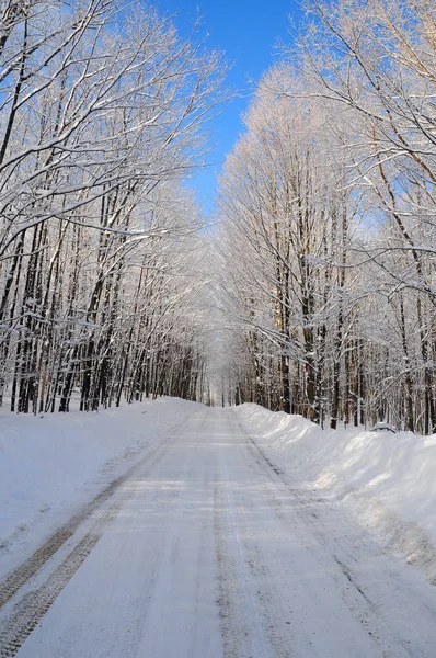 Paisagem Inverno Quebec Canadá — Fotografia de Stock