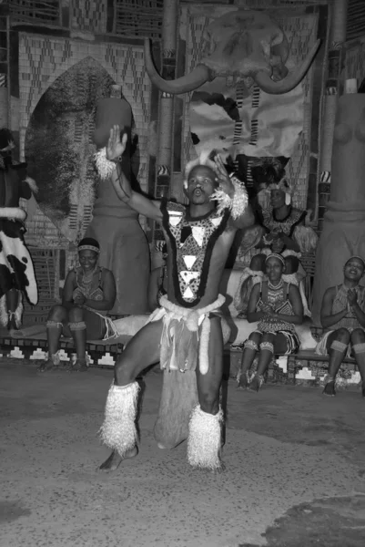 Tanımlanamayan Zulu Dansçıları Kasım 2010 Shakaland Zulu Kültür Köyü Kwazulu — Stok fotoğraf