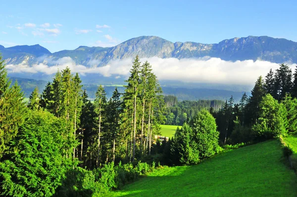 Letní Rakouská Vysokohorská Krajina Poblíž Innsbrucku Rakousko — Stock fotografie