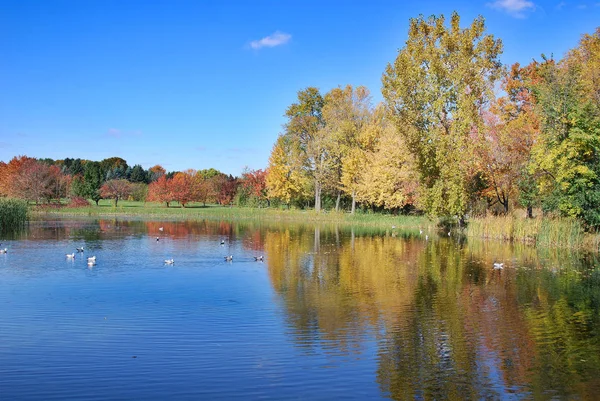 Herbstlandschaft Botanischen Garten Von Montreal Quebec Kanada — Stockfoto