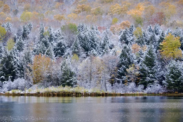 Paisaje Finales Otoño Bromont Municipio Del Este Quebec Canadá —  Fotos de Stock