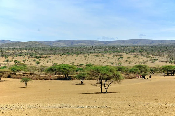 Serengeti Ulusal Parkı Ndaki Afrika Manzarası Tanzanya — Stok fotoğraf