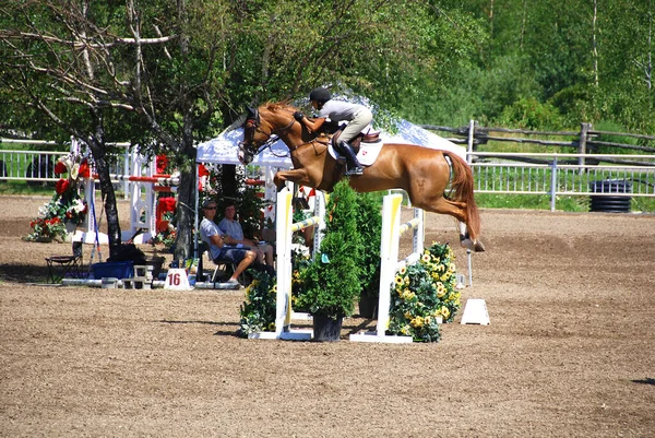 Bromont Canada Luglio Cavaliere Sconosciuto Cavallo Durante 2011 Bromont Internazionale — Foto Stock