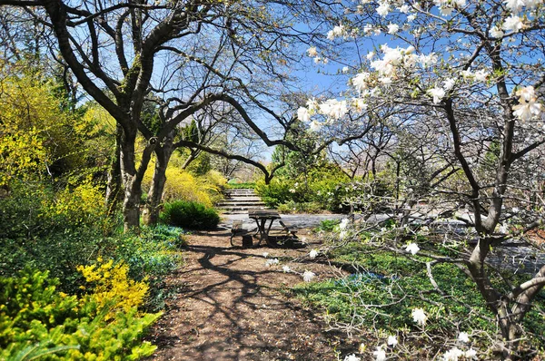 Paisaje Primaveral Jardín Botánico Montreal Quebec Canadá — Foto de Stock