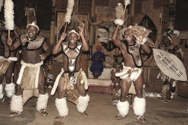 Tanımlanamayan Zulu dansçıları, 27 Kasım 2010 'da Shakaland Zulu Kültür Köyü, KwaZulu-Natal, Güney Afrika' da yapılan Zulu gösterisinde geleneksel Zulu kıyafetleri giyerler.