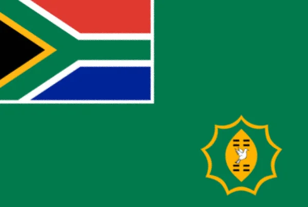 Flag Department Military Veterans South Africa — стокове фото