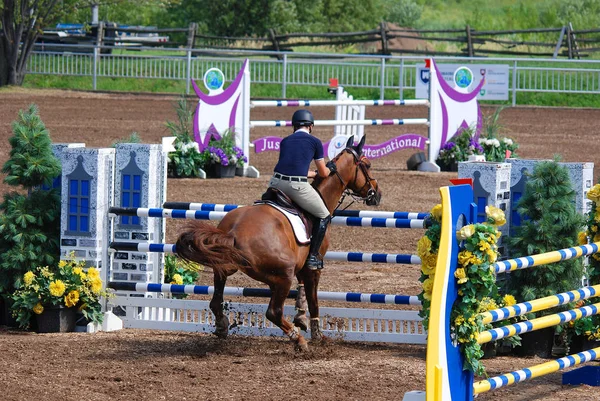 Bromont Canada July Невідомий Їздець Коні Протягом 2012 Року Інтернаційний — стокове фото