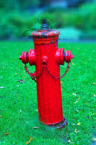 Çimenlerin Üzerinde Kırmızı Yangın Musluğu — Stok fotoğraf