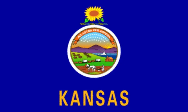 Zászló Kansas State Usa — Stock Fotó