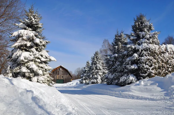 Winterlandschaft Bei Sonnigem Tag — Stockfoto