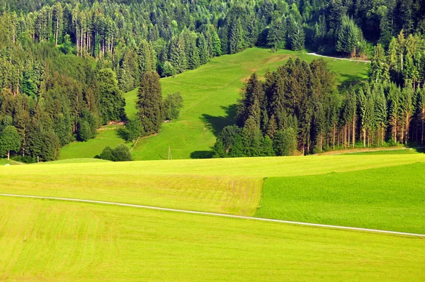 Ładny Letni Alpejski Krajobraz Pobliżu Innsbrucka Austria — Zdjęcie stockowe
