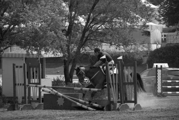 ブロモント カナダ 2012年7月20日 2012年7月20日の国際ブロモント馬術競技場1976年モントリオールオリンピック公園で — ストック写真
