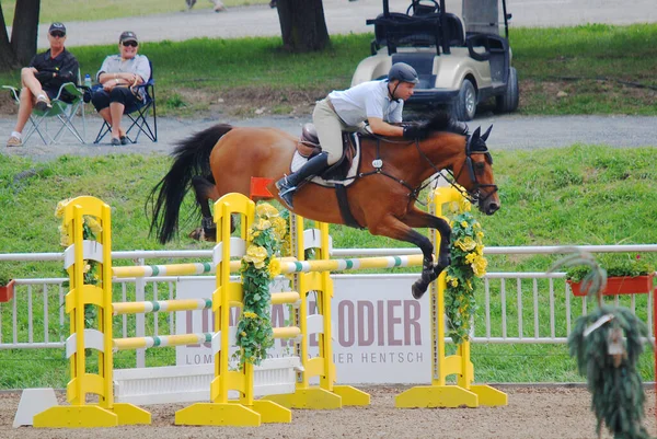 Bromont Canada Julho Cavaleiro Desconhecido Cavalo Durante 2011 Bromonte Internacional — Fotografia de Stock