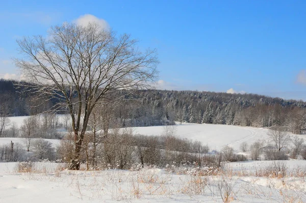 Kış Manzarası Quebec Kanada — Stok fotoğraf