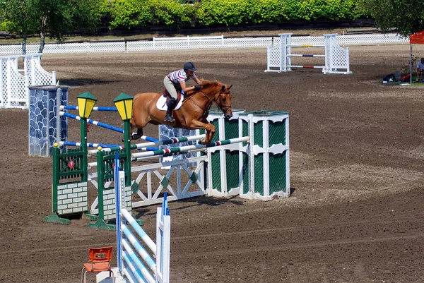 Bromont Canada Luglio Cavaliere Sconosciuto Cavallo Durante 2011 Bromont Internazionale — Foto Stock