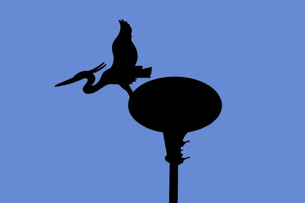 青い空の背景に鳥のシルエット — ストック写真