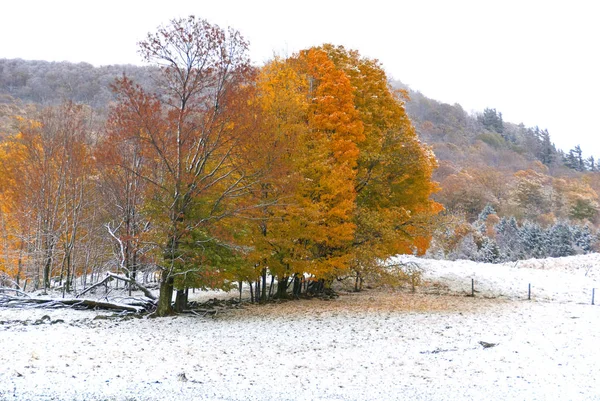 Paisaje Finales Otoño Bromont Municipio Del Este Quebec Canadá —  Fotos de Stock