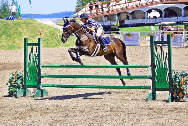 Bromont Canada July Unknown Ride Horse 2011 International Bromont July — 图库照片