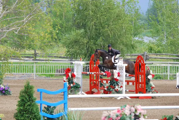 Bromont Canada Juli Onbekende Ruiter Een Paard 2011 International Bromont — Stockfoto