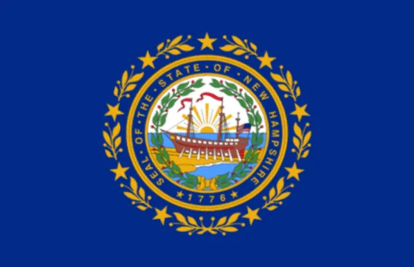 Bandera New Hampshire State Usa — Foto de Stock