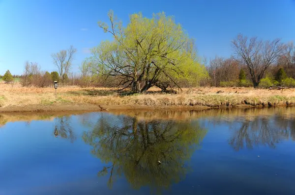 Paisagem Primavera Quebec Provibnce Canadá — Fotografia de Stock