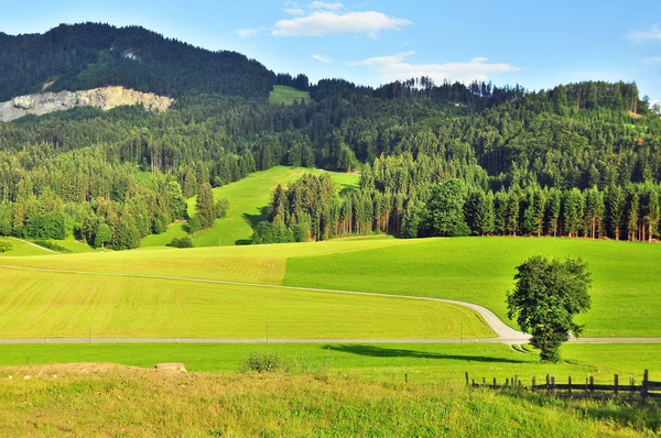 Ładny Zielony Alpejski Krajobraz Pobliżu Innsbrucka Austria — Zdjęcie stockowe
