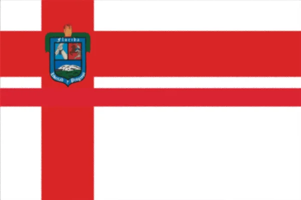 Bandera Del Departamento Florida Uruguay —  Fotos de Stock