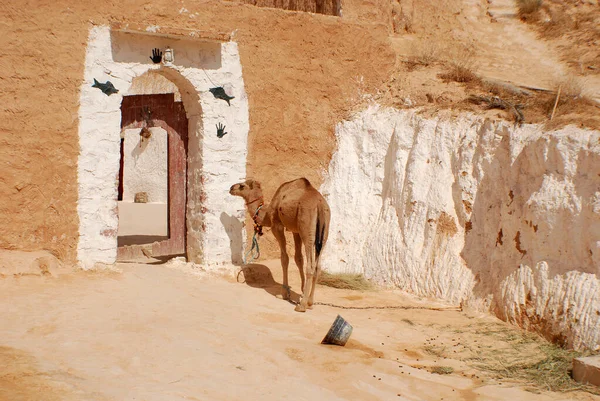 Matótunisko Října 2007 Tradiční Berberberský Troglodyte Podzemní Budova Byla Jedním — Stock fotografie