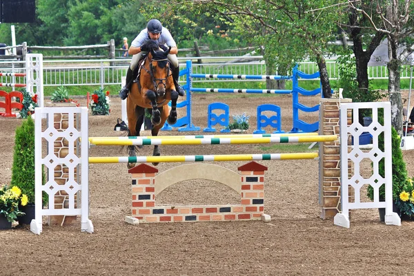 Bromont Canada Julho Cavaleiro Desconhecido Cavalo Durante 2011 Bromonte Internacional — Fotografia de Stock