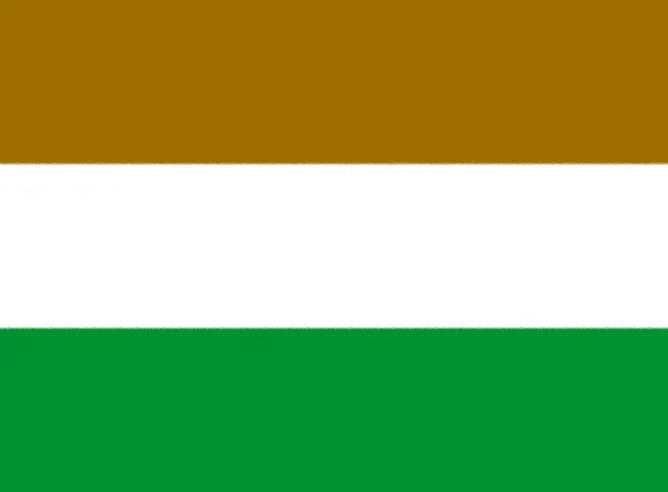 Transkei Lippu 1966 1994 — kuvapankkivalokuva