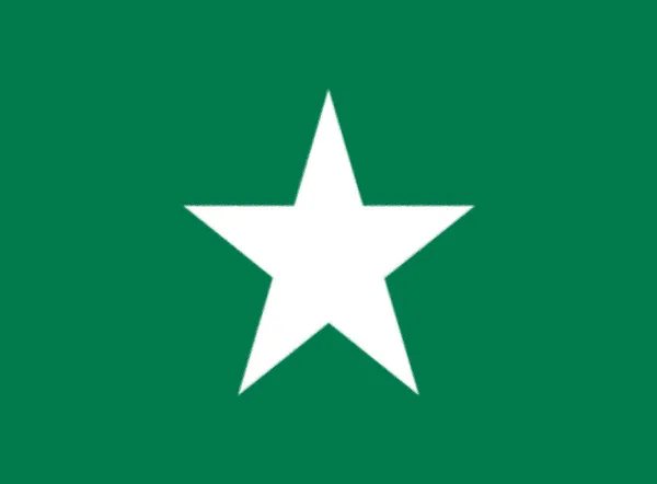 Bandera Stellaland — Foto de Stock