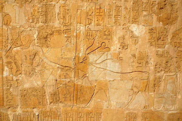 Ιερογλυφικά Γλυπτά Και Ζωγραφική Στους Τοίχους Ενός Αιγυπτιακού Αρχαίου Ναού — Φωτογραφία Αρχείου