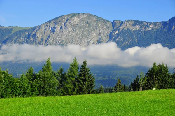 Verão Paisagem Alpina Austríaca Perto Innsbruck Áustria — Fotografia de Stock