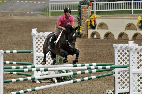 Bromont Kanada Lipiec Nieznany Jeździec Koniu 2012 Bromont Międzynarodowy Lipca — Zdjęcie stockowe