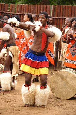 MANZINI, SWAZILAND - 25 Kasım 2010 Manzini, Svaziland 'daki bir Swazi şovunun sunumu sırasında, tanımlanamayan gençler geleneksel giysiler giyip dans ediyorlar