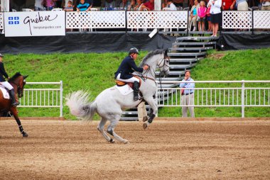 BROMONT, CANADA - 30 Temmuz 2010 'da Montreal Equestrian 1976 Olimpiyat Parkı' nda bilinmeyen bir binici 2011 'de, Uluslararası BROMONT.