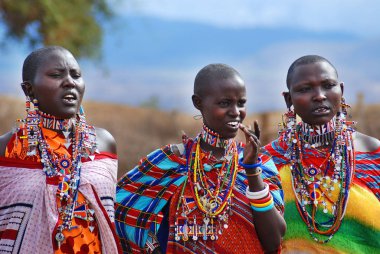 Masai kabilesinden kimliği belirsiz Afrikalı bir grup, 13 Ekim 2011 'de Kenya' nın Masai Mara kentinde düzenlenen geleneksel atlama dansını göstermeye hazırlanıyor. Onlar göçebe ve küçük köylerde yaşıyorlar..
