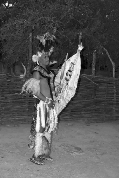Σακαλανδια Νοεμβριου Αγνώστων Χορευτών Ζουλού Φορούν Παραδοσιακά Ρούχα Ζουλού Κατά — Φωτογραφία Αρχείου
