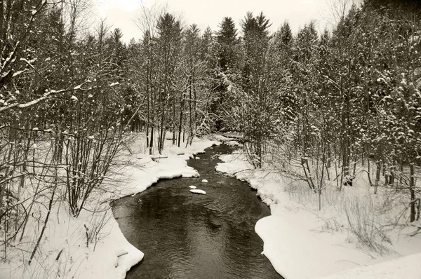 Paesaggio Invernale Canada — Foto Stock