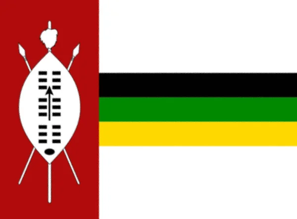 Nationale Vlag Van Kwazulu Met Juiste Verhoudingen Element Kleuren Voor — Stockfoto