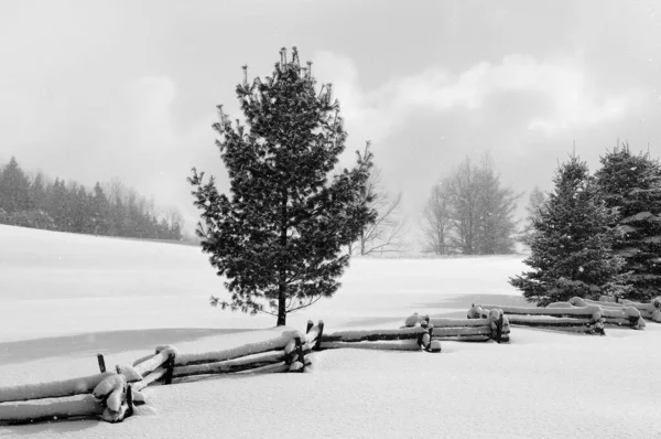 Χειμερινό Τοπίο Κεμπέκ Καναδάς — Φωτογραφία Αρχείου