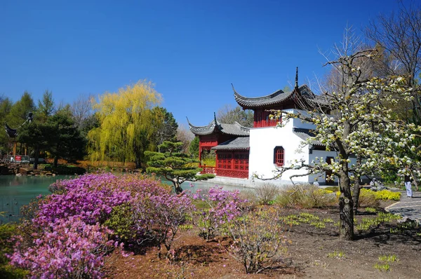 Montreal Chinese Garden Botanical Garden Spring Time Quebec Canada — Stock Photo, Image